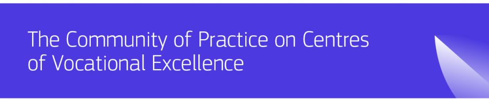 The Community of Practice on Centres of Vocational Excellence